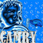 camcarry