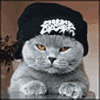 cool cat avatar