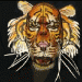 FacePaint Tiger