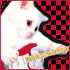 Guitar kitty