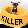 iam killer dog