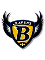 Baltimore Ravens 2