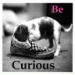curious dog shoe