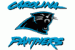 Carolina Panthers 2