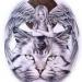 tigers lions avatars 0322