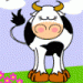 cow eat